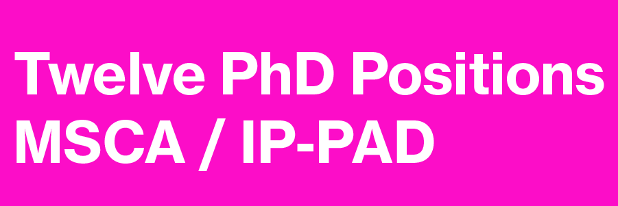 12 PhD Vacancies: MSCA Doctoral Network IP-PAD